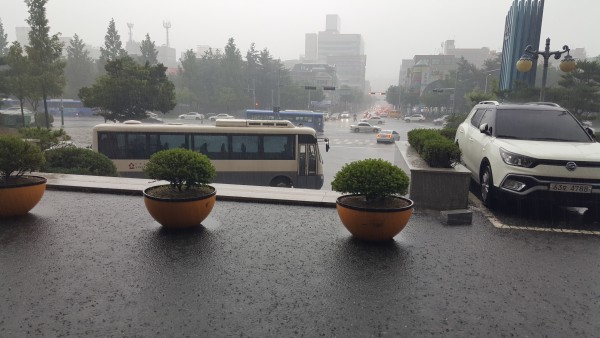 장마 사진
