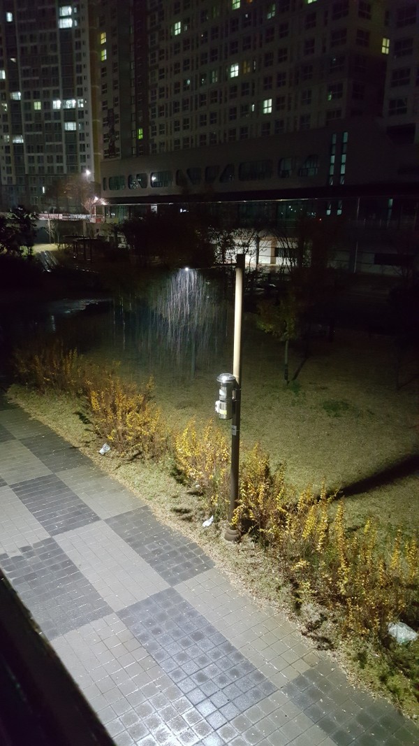 나주에서 저녁 사진 2