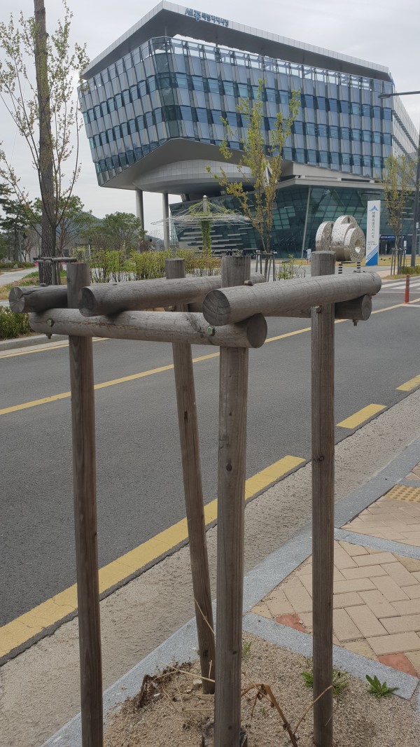 세종시청에서 사진 10