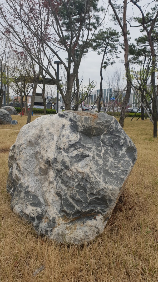 세종시청에서 사진 3