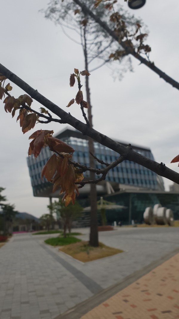 세종시청에서 사진 4