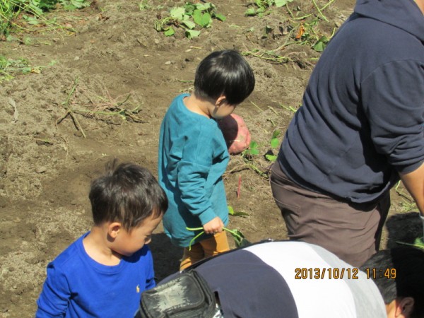 2013 사진 5